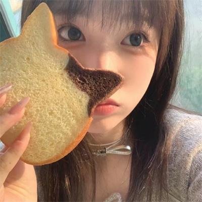 竞选伙伴